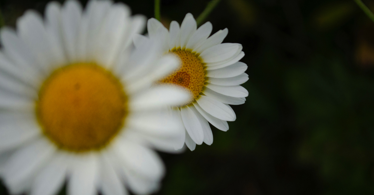 The Case Against Niceness